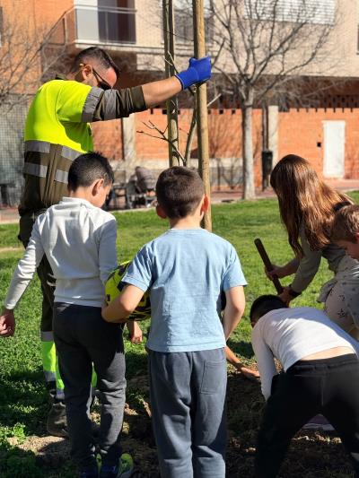 El Ayuntamiento de Murcia da luz verde a la Estrategia Local de Vivienda para los próximos años