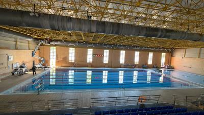 El Ayuntamiento de Murcia pone el foco en el bienestar animal: Nuevas medidas y campañas en marcha