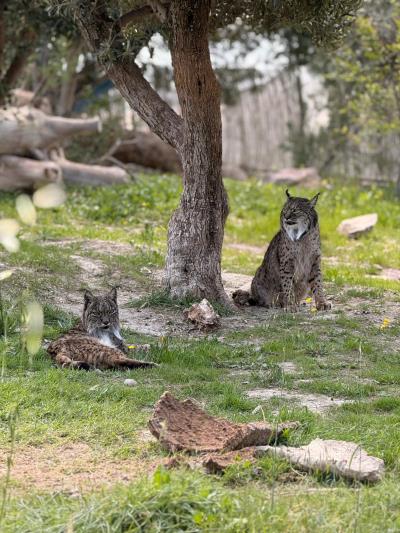 El Ayuntamiento de Murcia da luz verde a las cuentas municipales para 2024: Inversión social y sostenibilidad, claves