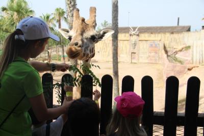 El Ayuntamiento de Murcia lleva la magia del Aula de Naturaleza a los peques del municipio