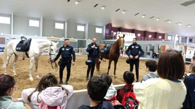 El Ayuntamiento de Murcia refuerza la seguridad con la Unidad Equina de la Policía Local