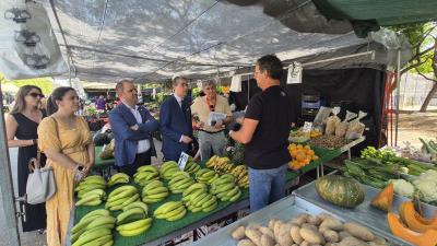 El Ayuntamiento de Murcia da luz verde a nuevas ordenanzas fiscales para 2025: ¿Qué cambiará en tu bolsillo?