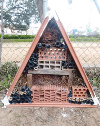 Murcia se apunta a la moda eco: Hoteles de insectos para reverdecer la ciudad